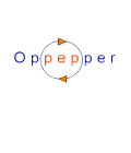 Oppepper - Businessgaming.nl